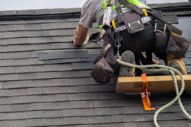 Best Storm Damage Roof Repair  in Chenoa, IL