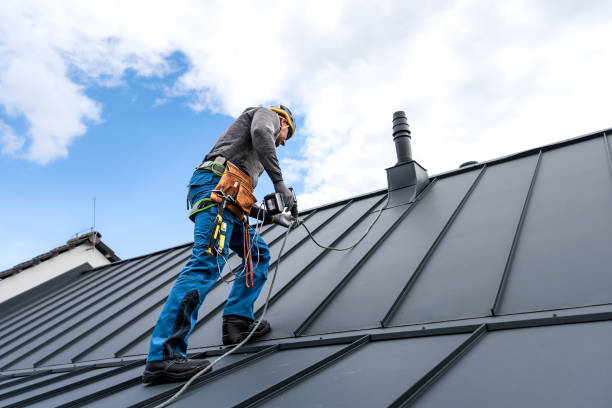 Best Roof Insulation Installation  in Chenoa, IL