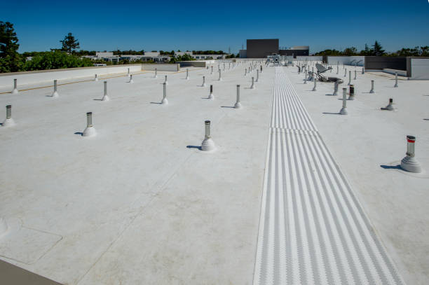 Best Rubber Roofing (EPDM, TPO)  in Chenoa, IL